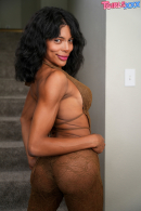 The Evolution of Lola Morena